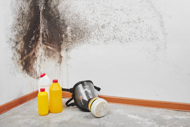 Water Damage Restoration in Pioneer, CA