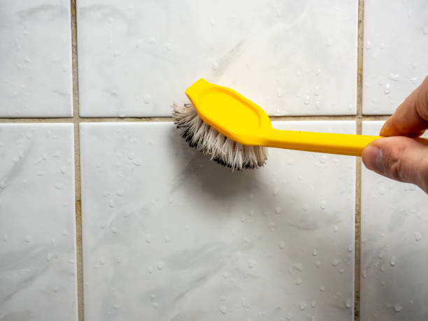 Best Mold Damage Repair  in Pioneer, CA