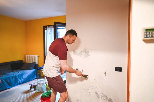 Best Residential Mold Removal  in Pioneer, CA