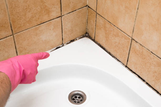 Best Mold Testing  in Pioneer, CA